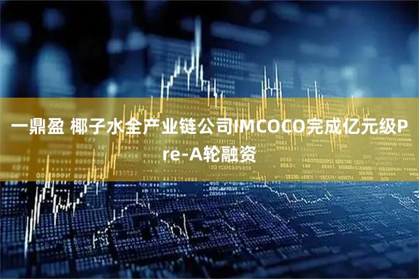 一鼎盈 椰子水全产业链公司IMCOCO完成亿元级Pre-A轮融资