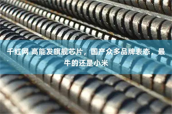 千红网 高能发旗舰芯片，国产众多品牌表态，最牛的还是小米