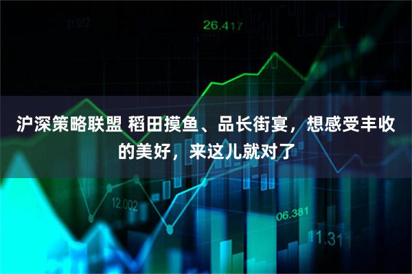 沪深策略联盟 稻田摸鱼、品长街宴，想感受丰收的美好，来这儿就对了
