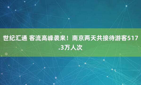 世纪汇通 客流高峰袭来！南京两天共接待游客517.3万人次