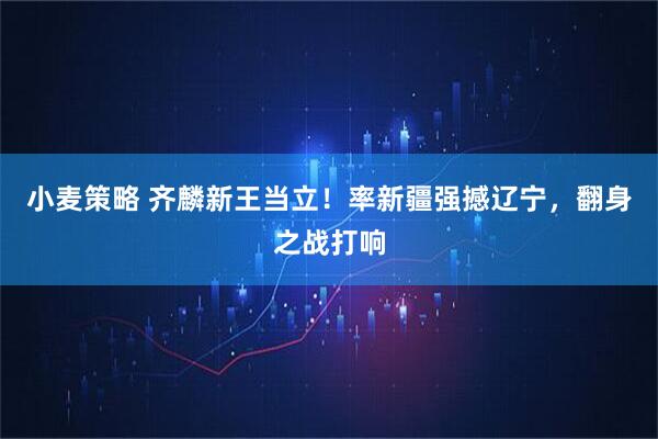 小麦策略 齐麟新王当立！率新疆强撼辽宁，翻身之战打响