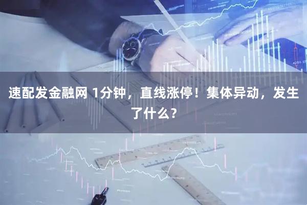 速配发金融网 1分钟，直线涨停！集体异动，发生了什么？