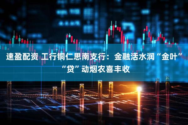 速盈配资 工行铜仁思南支行：金融活水润“金叶” “贷”动烟农喜丰收