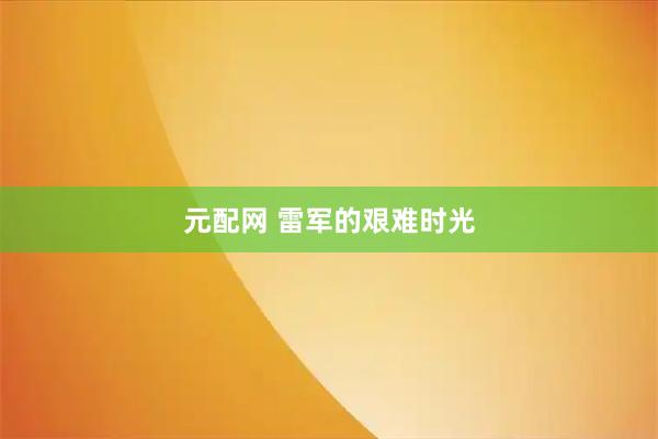 元配网 雷军的艰难时光