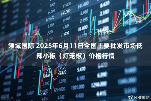 领域国际 2025年6月11日全国主要批发市场低辣小椒（灯笼椒）价格行情